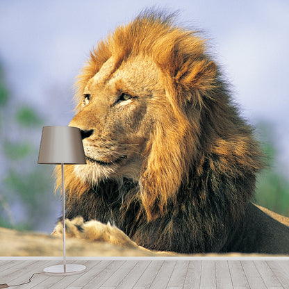 Brown Lion Looking Afar Mural Water Resistant Modern Bedroom Wall Covering, Made to Measure Brown Clearhalo 'Wall Decor' 'Wall Mural' 1508395