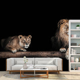 Lions in the Dark Mural Black Modernist Wall Art for Living Room, Personalized Size Clearhalo 'Wall Decor' 'Wall Mural' 1508401