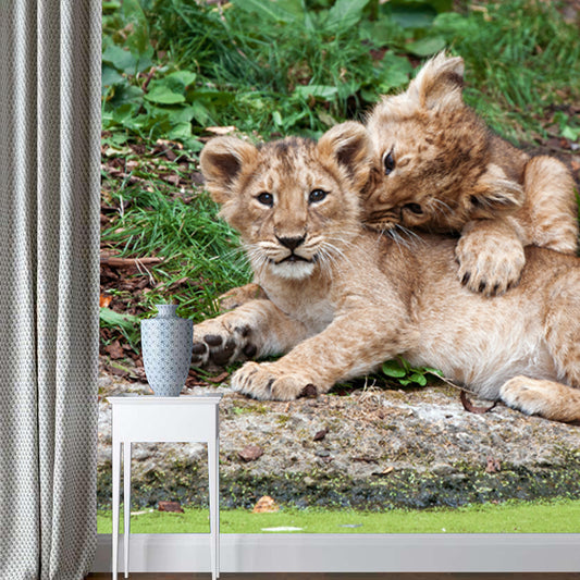 Photography Little Lions Playing Mural Large Size Wall Decor for Bedroom, Custom Size Clearhalo 'Wall Decor' 'Wall Mural' 1508406