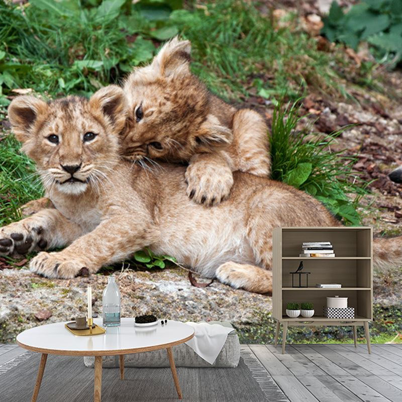 Photography Little Lions Playing Mural Large Size Wall Decor for Bedroom, Custom Size Clearhalo 'Wall Decor' 'Wall Mural' 1508407