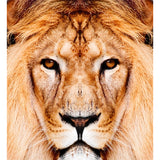 Close-Up of Lion Face Mural Decal Brown Modernist Wall Decoration for Boys Bedroom Clearhalo 'Wall Decor' 'Wall Mural' 1508423