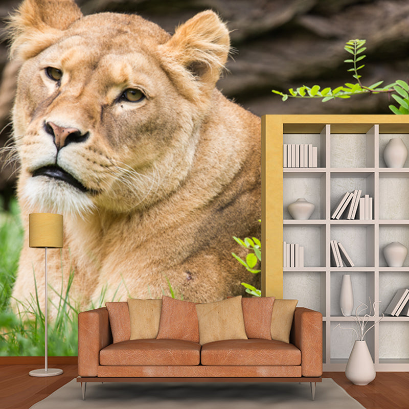 Large Female Lion Wallpaper Mural Stain-Resistant Modern Bedroom Wall Art in Brown Clearhalo 'Wall Decor' 'Wall Mural' 1508432