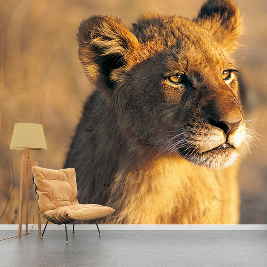 Modern Young Lion Sunset Mural Brown Moisture Resistant Wall Covering for Accent Wall