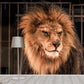 Brown Caged Lion Wall Mural Stain-Proof Modern Living Room Wall Covering, Custom Size Clearhalo 'Wall Decor' 'Wall Mural' 1508487