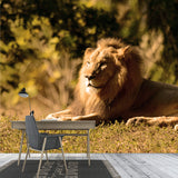 Photography Lion Taking Sunbath Mural for Bedroom, Brown, Personalized Size Available Clearhalo 'Wall Decor' 'Wall Mural' 1508506