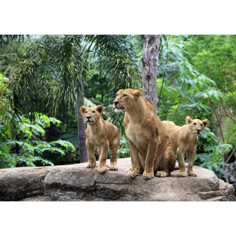 Green Tropical Wall Mural Decal Whole Lions in the Jungle Wall Art for Living Room Clearhalo 'Wall Decor' 'Wall Mural' 1508533