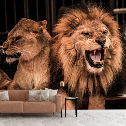 Modern Circus Lions Roaring Mural Brown Living Room Wall Decoration, Made to Measure Brown Clearhalo 'Wall Decor' 'Wall Mural' 1508535