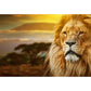 Lion with Sunset View Mural Contemporary Non-Woven Material Wall Covering in Brown Clearhalo 'Wall Decor' 'Wall Mural' 1508543