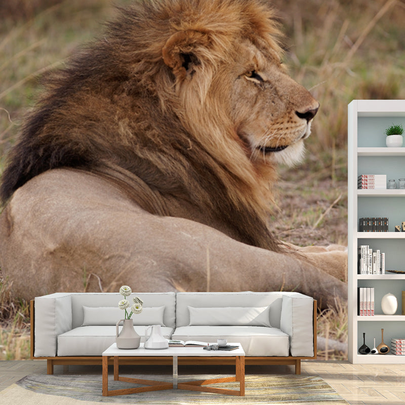 Lion Lies in Savanna Mural Brown Modern Wall Art for Bedroom, Customized Size Available Brown Clearhalo 'Wall Decor' 'Wall Mural' 1508545