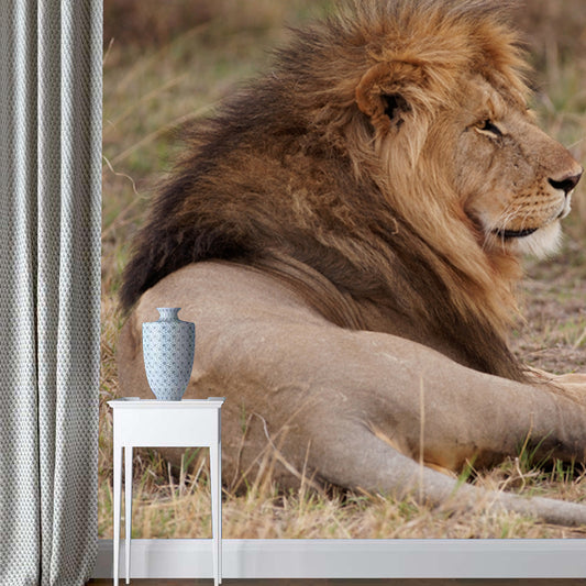 Lion Lies in Savanna Mural Brown Modern Wall Art for Bedroom, Customized Size Available Clearhalo 'Wall Decor' 'Wall Mural' 1508546
