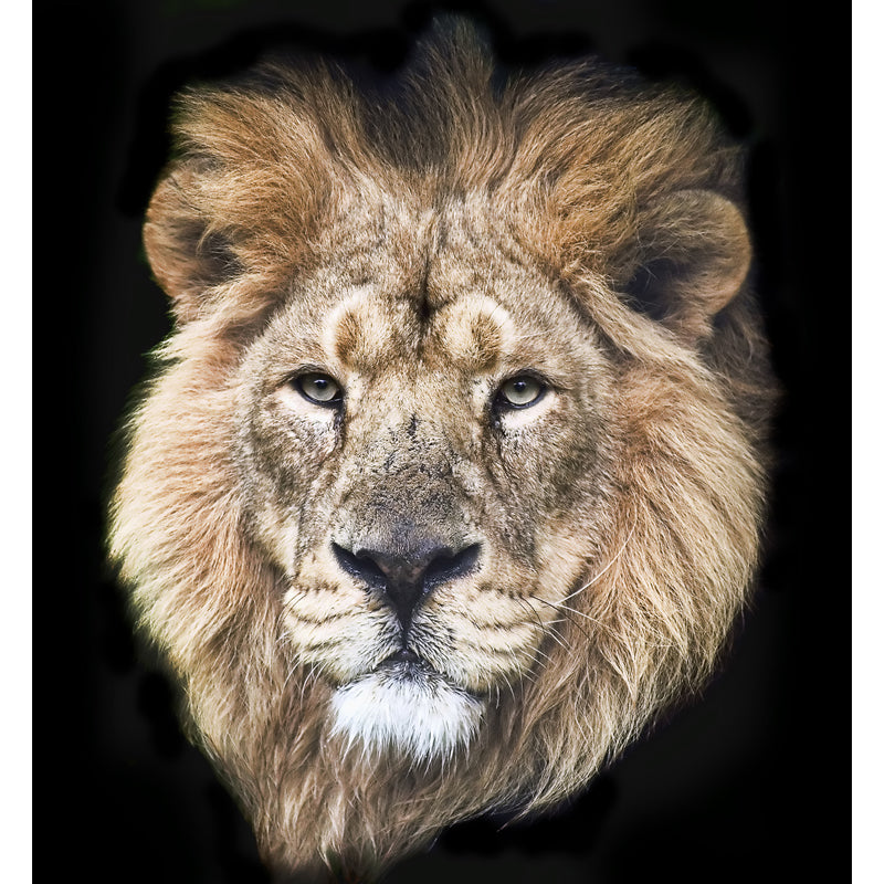 Moisture Resistant Lion Head Mural Personalized Modern Wall Decor for Living Room Clearhalo 'Wall Decor' 'Wall Mural' 1508553