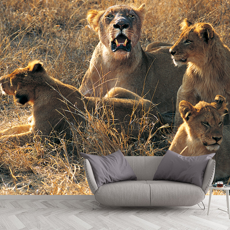 Huge Modern Wallpaper Mural Brown Female Lions Lying on Ground Wall Covering, Custom Made Brown Clearhalo 'Wall Decor' 'Wall Mural' 1508555