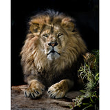 Modernist Lion Wall Mural Decal Non-Woven Waterproof Brown Wall Art for Living Room Clearhalo 'Wall Decor' 'Wall Mural' 1508563