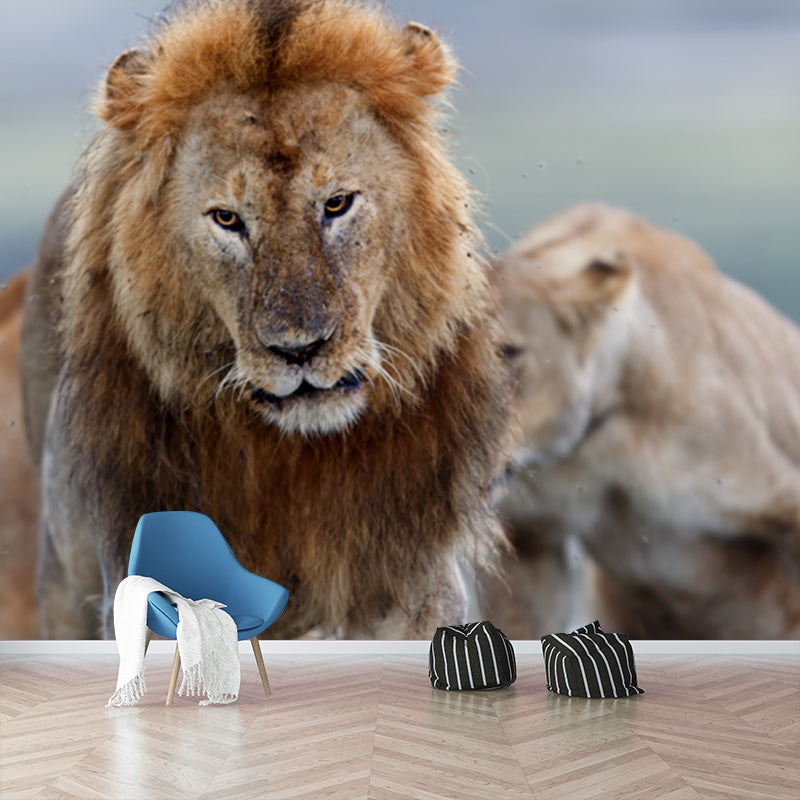 Non-Woven Big Brown Mural Modern Lion Wall Covering for Living Room, Custom Size Clearhalo 'Wall Decor' 'Wall Mural' 1508572