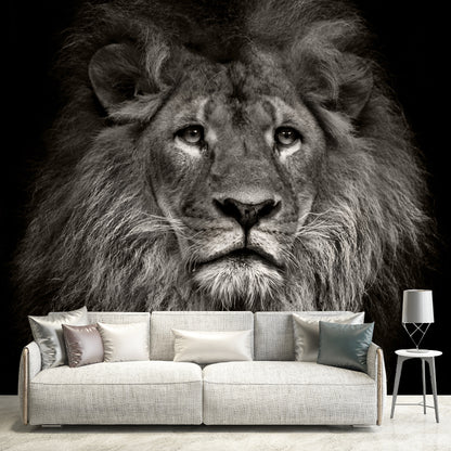 Photo Printed Lion Head Mural Wallpaper for Accent Wall, Black, Personalized Size Black Clearhalo 'Wall Decor' 'Wall Mural' 1508580