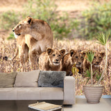 Lion and Its Child Mural Wallpaper Brown Modern Style Wall Decor for Family Room Clearhalo 'Wall Decor' 'Wall Mural' 1508587