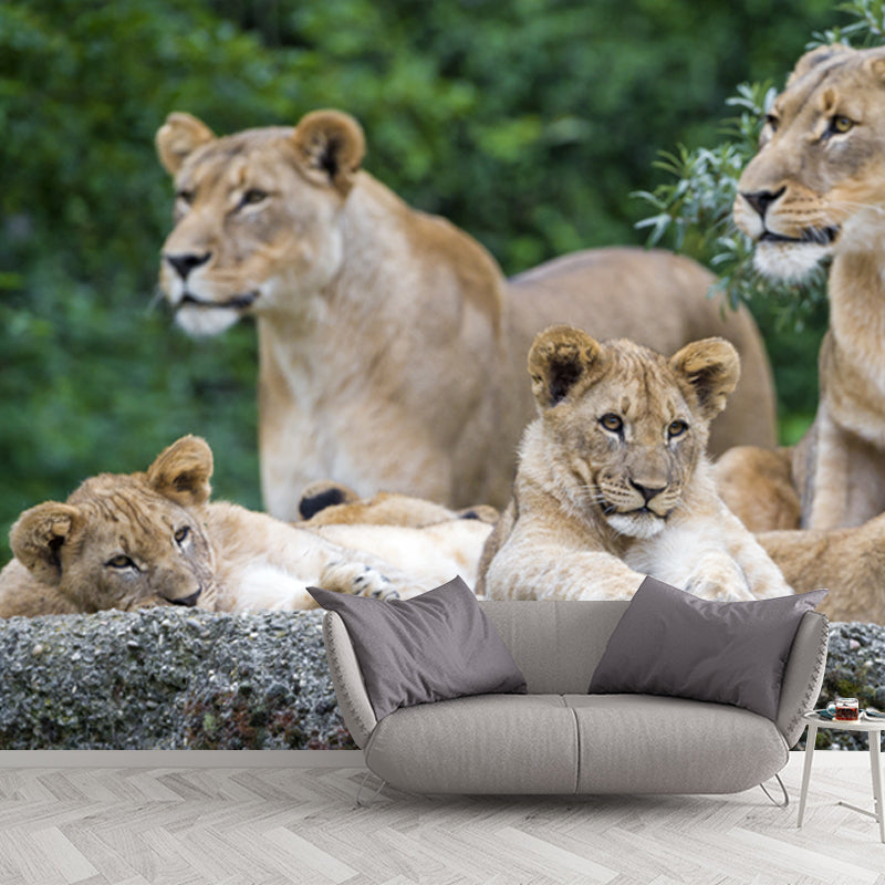 Contemporary Lion Family Wallpaper Mural for Bedroom Custom Wall Decoration in Brown Clearhalo 'Wall Decor' 'Wall Mural' 1508601