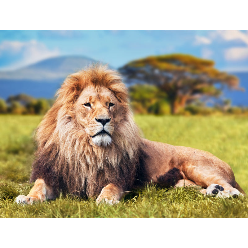 Modern Lion Wall Mural Decal Brown-Green African Savannas Wall Art for Living Room Clearhalo 'Wall Decor' 'Wall Mural' 1508608