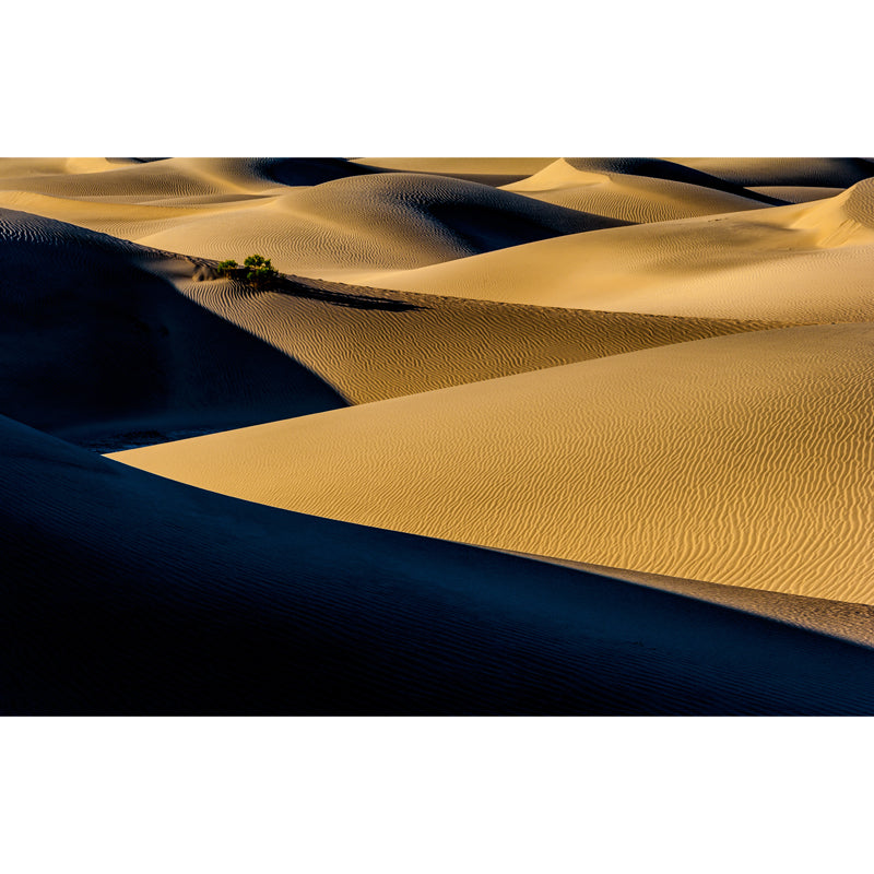 Contemporary Desert Shadows Mural Decal Non-Woven Moisture Resistant Yellow Wall Decor Clearhalo 'Wall Decor' 'Wall Mural' 1594903