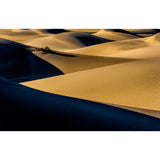 Contemporary Desert Shadows Mural Decal Non-Woven Moisture Resistant Yellow Wall Decor Clearhalo 'Wall Decor' 'Wall Mural' 1594903