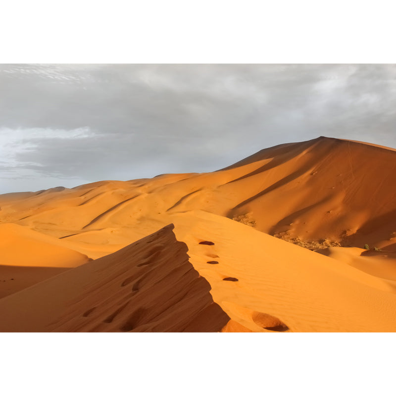 Modern Desert Hillock Wallpaper Mural Yellow Bedroom Wall Art, Personalized Size Clearhalo 'Wall Decor' 'Wall Mural' 1594908