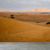 Desert Wildland Mural Wallpaper in Yellow Modernism Wall Art for Home, Made to Measure Clearhalo 'Wall Decor' 'Wall Mural' 1594921