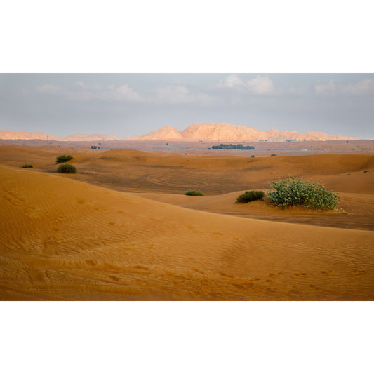 Desert Wildland Mural Wallpaper in Yellow Modernism Wall Art for Home, Made to Measure Clearhalo 'Wall Decor' 'Wall Mural' 1594923