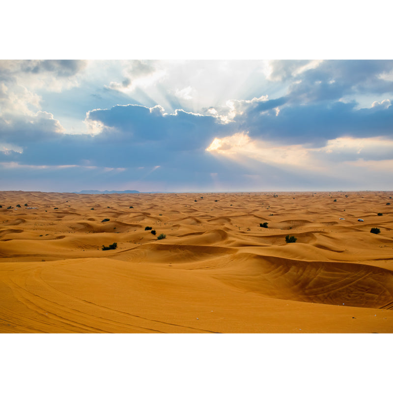 Broad Sand Sea Wallpaper Mural for Accent Wall, Yellow and Blue, Personalized Size Available Clearhalo 'Wall Decor' 'Wall Mural' 1594928