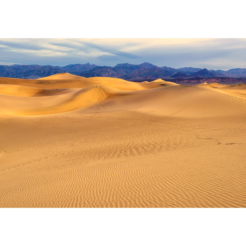 Moisture Resistant Desert Hills Mural Decal Contemporary Non-Woven Fabric Wall Covering, Custom Size Clearhalo 'Wall Decor' 'Wall Mural' 1594933