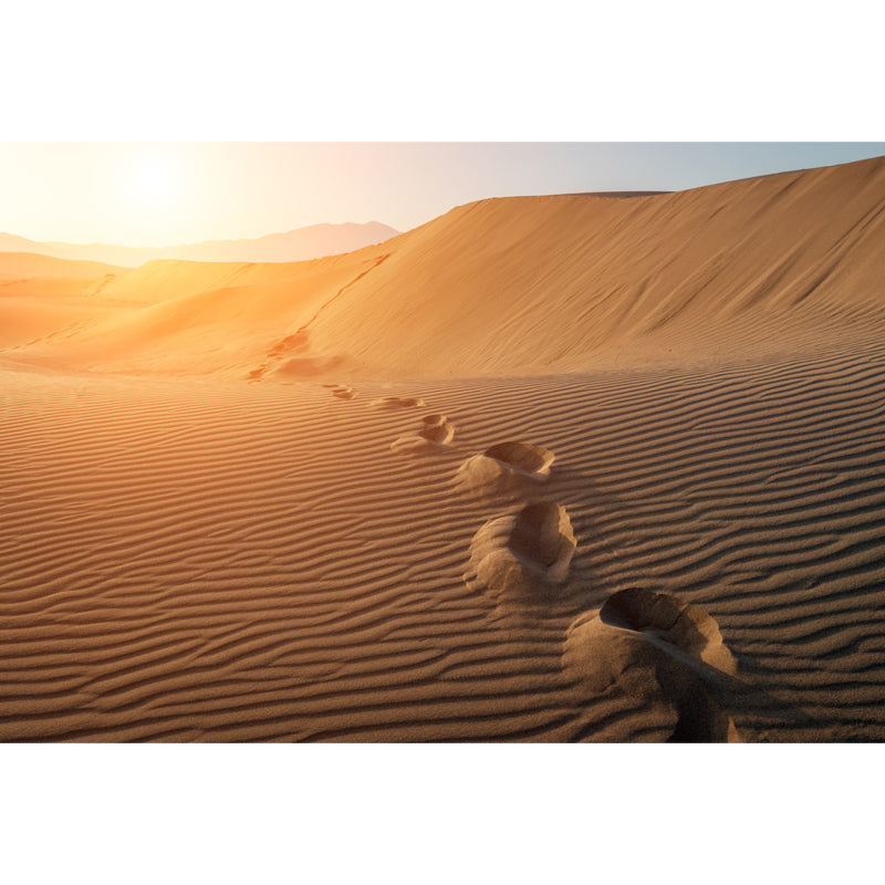 Huge Footprint Mural Wallpaper Modern Beautiful Sunset Desert Wall Decor in Yellow Clearhalo 'Wall Decor' 'Wall Mural' 1594938