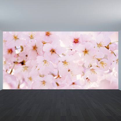 Pink Cherry Petal Mural Wallpaper Flower Contemporary Stain Resistant Wall Decor Pink Clearhalo 'Wall Decor' 'Wall Mural' 1595025