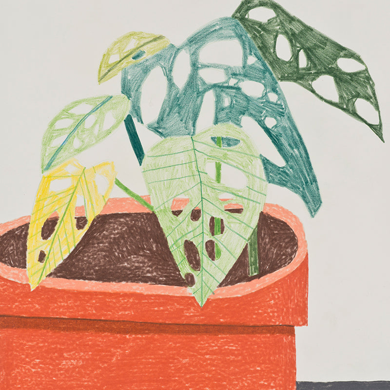 Orange Pot Plant Mural Wallpaper Stain Resistant Contemporary Bathroom Wall Covering Clearhalo 'Wall Decor' 'Wall Mural' 1595073