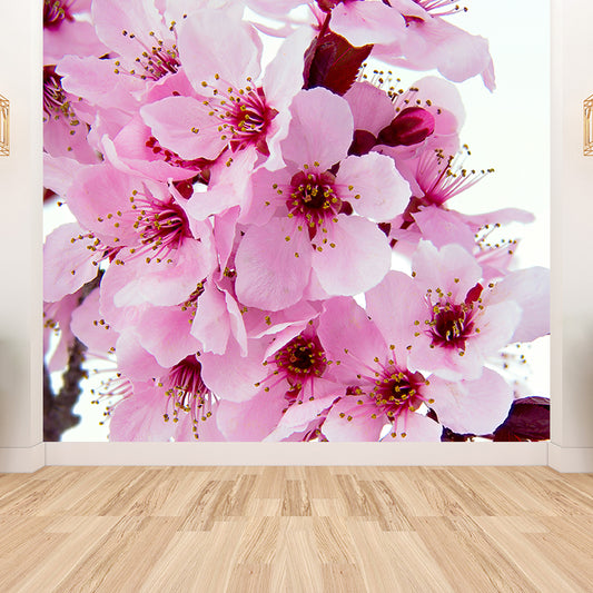 Pink Flower Blossom Wall Mural Moisture Resistant Modern Living Room Wall Covering Clearhalo 'Wall Decor' 'Wall Mural' 1595231