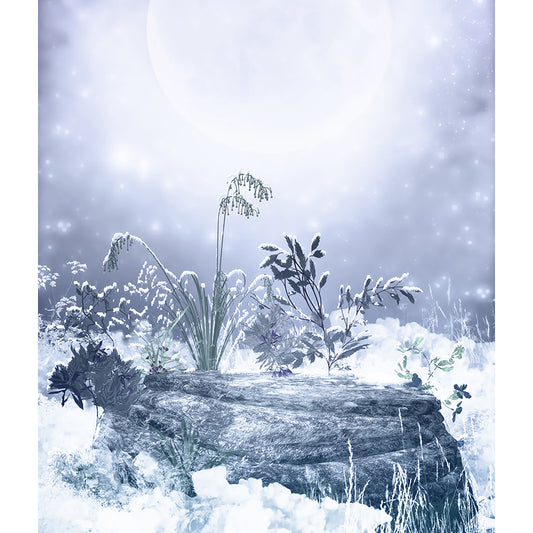 Botanical and Rock Mural Decal Modern Decorative Kitchen Wall Covering, Made to Measure Clearhalo 'Wall Decor' 'Wall Mural' 1595393