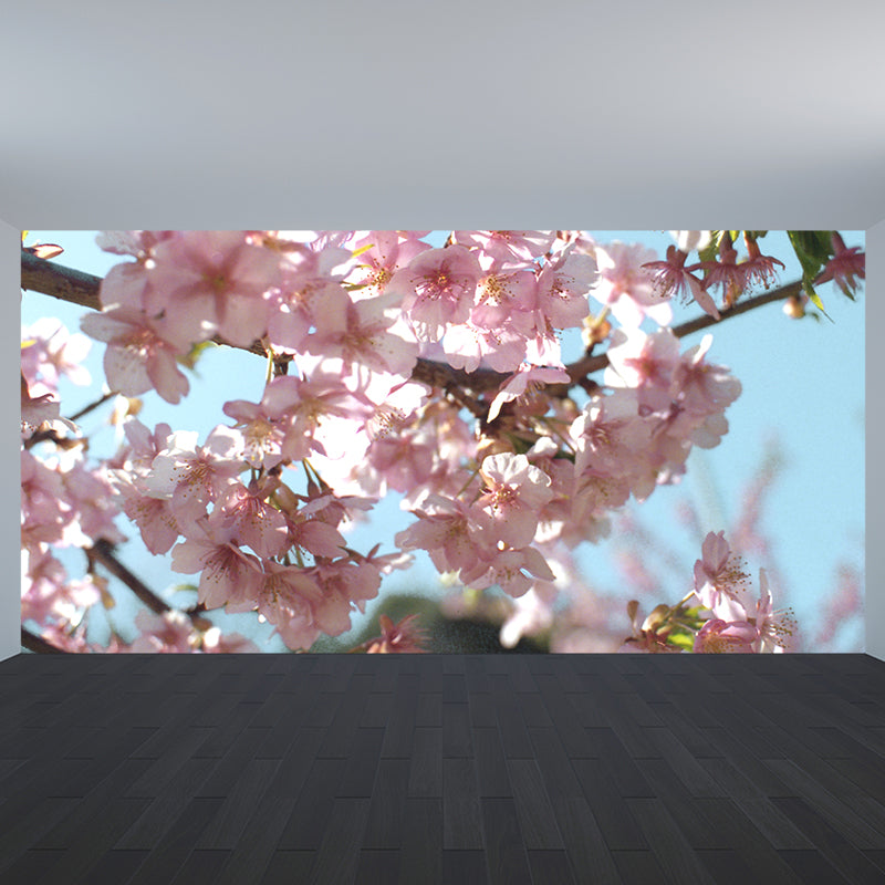 Photograph Style Cherry Blossom Mural Giant Wall Covering for Dining Room, Custom Clearhalo 'Wall Decor' 'Wall Mural' 1595706