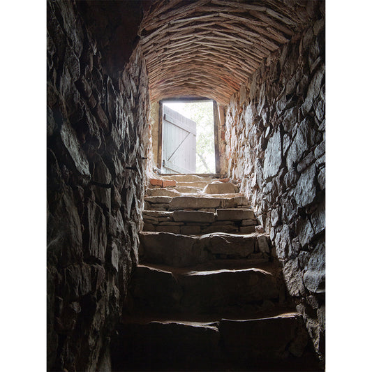 Pewter Cellar Stairway Wall Mural Water-Proof Modernist Dining Room Wall Decoration Clearhalo 'Wall Decor' 'Wall Mural' 1595903