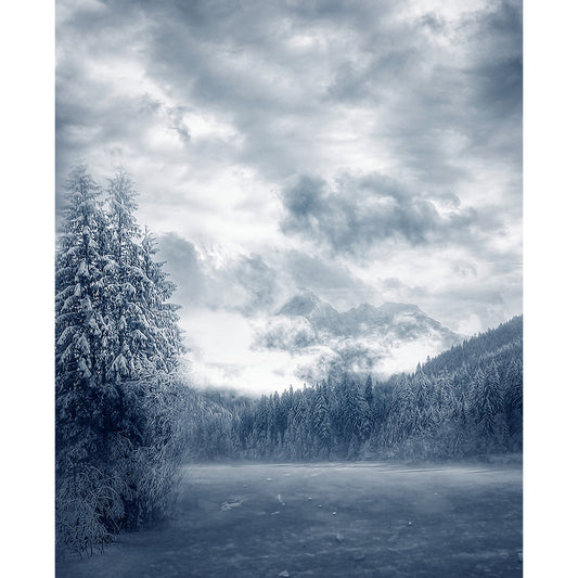 Pine Forest Wall Mural Modern Decorative Dining Room Wall Covering, Custom Printed Clearhalo 'Wall Decor' 'Wall Mural' 1596023