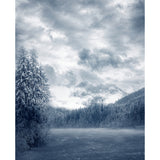 Pine Forest Wall Mural Modern Decorative Dining Room Wall Covering, Custom Printed Clearhalo 'Wall Decor' 'Wall Mural' 1596023