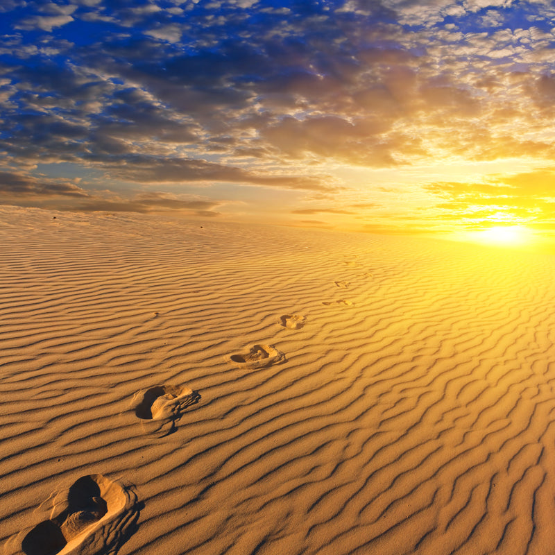 Dusk Sand Wave Desert Mural Yellow and Blue Modernism Wall Decor for Living Room Clearhalo 'Wall Decor' 'Wall Mural' 1596307