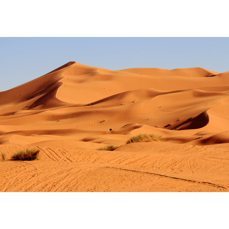 Contemporary Dune Landscape Wall Mural Yellow Living Room Wall Covering, Made to Measure Clearhalo 'Wall Decor' 'Wall Mural' 1596317