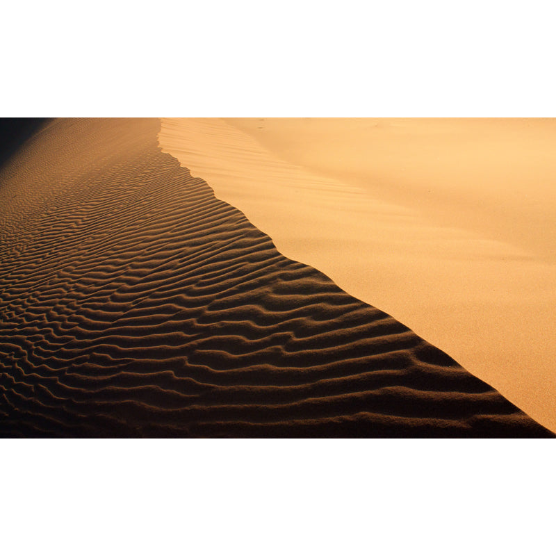 Large Sand Wave Shadow Mural Decal Waterproofing Modern Stain-Proof Wall Decor in Yellow Clearhalo 'Wall Decor' 'Wall Mural' 1596322