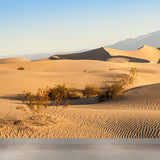 Desert Plants Wall Mural Decal Modern Non-Woven Material Wall Decor in Yellow for Home Clearhalo 'Wall Decor' 'Wall Mural' 1596335