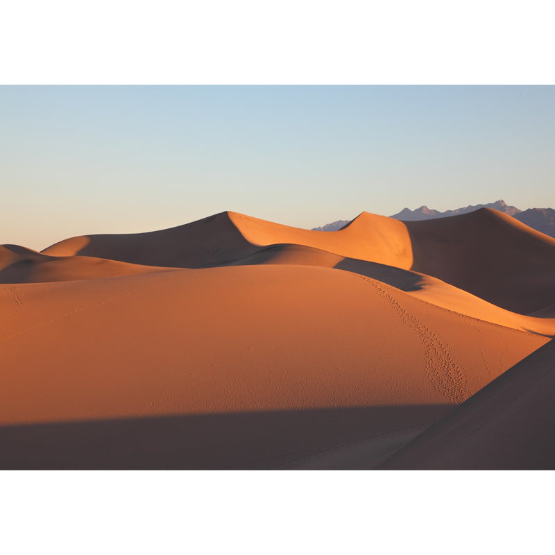 Modern Dune View Wallpaper Mural Yellow Stain Resistant Wall Art for Living Room Clearhalo 'Wall Decor' 'Wall Mural' 1596342