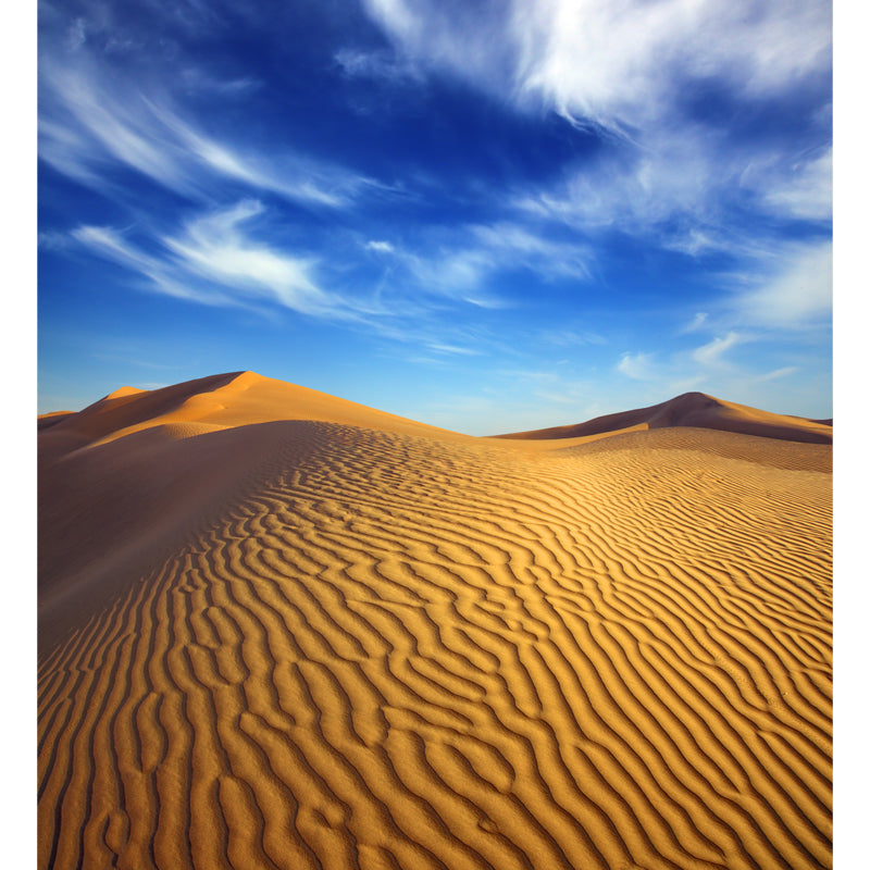 Dune and Sky Scenery Mural Contemporary Moisture Resistant Bedroom Wall Covering, Custom Clearhalo 'Wall Decor' 'Wall Mural' 1596347