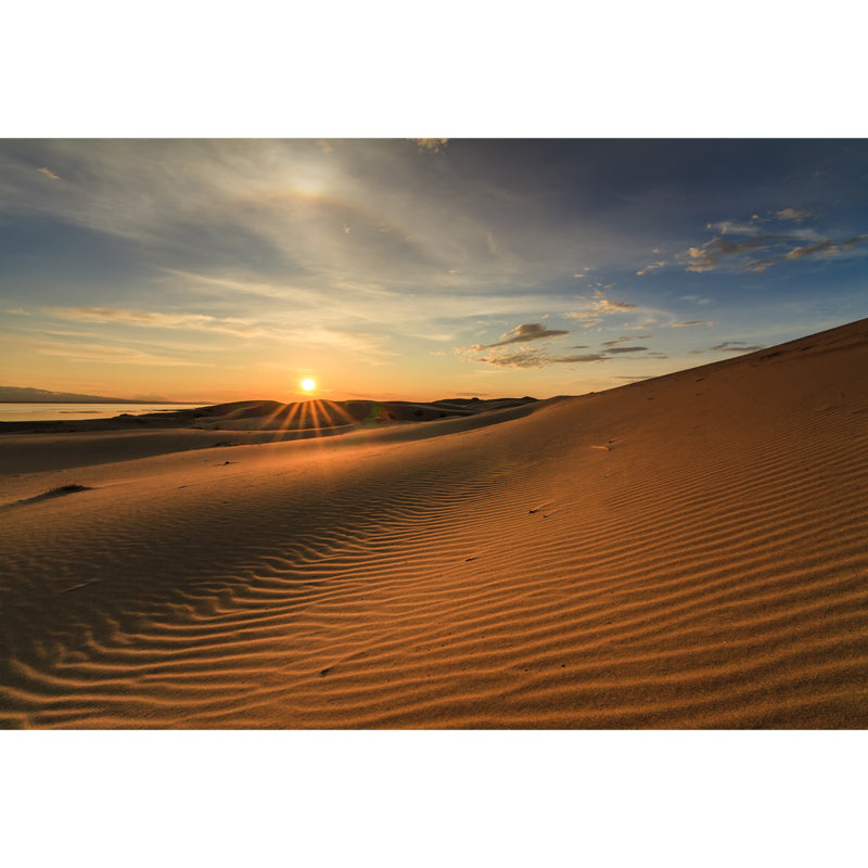 Abroad Sand Dune Waves Mural for Home Sunset Desert Landscape Wall Decor, Custom Made Clearhalo 'Wall Decor' 'Wall Mural' 1596397