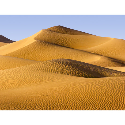Yellow Dunes Wall Paper Mural Moisture Resistant Wall Covering for Accent Wall, Custom