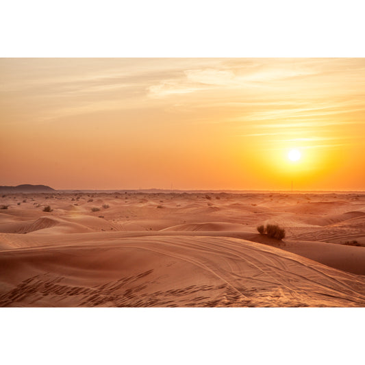 Enormous Sunset Dunes Wall Mural for Living Room, Yellow, Personalized Size Available Clearhalo 'Wall Decor' 'Wall Mural' 1596422