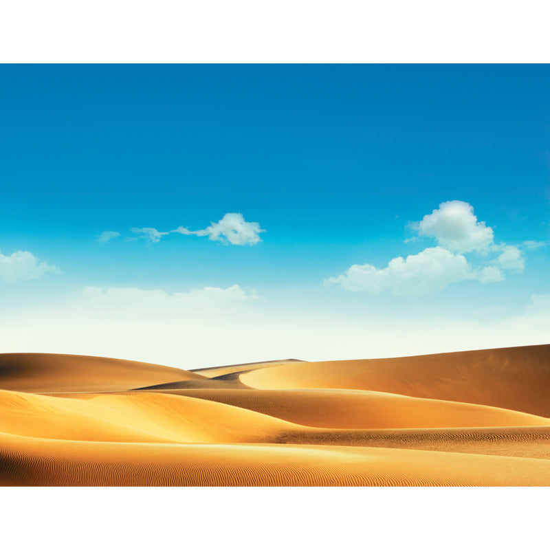 Large Desert Wall Mural Decal Modern Splendid Dune and Sky Wall Covering in Blue Clearhalo 'Wall Decor' 'Wall Mural' 1596437