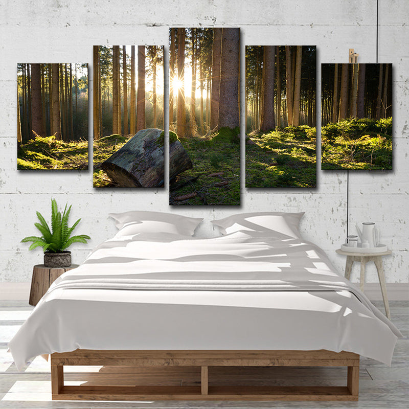 Sunrise in Forest Canvas Art Dark Green Contemporary Wall Decoration for Bedroom Clearhalo 'Art Gallery' 'Canvas Art' 'Contemporary Art Gallery' 'Modern' Arts' 1599918