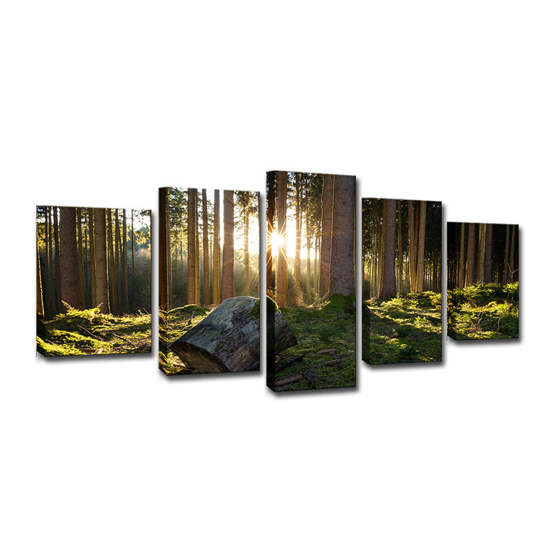 Sunrise in Forest Canvas Art Dark Green Contemporary Wall Decoration for Bedroom Clearhalo 'Art Gallery' 'Canvas Art' 'Contemporary Art Gallery' 'Modern' Arts' 1599920
